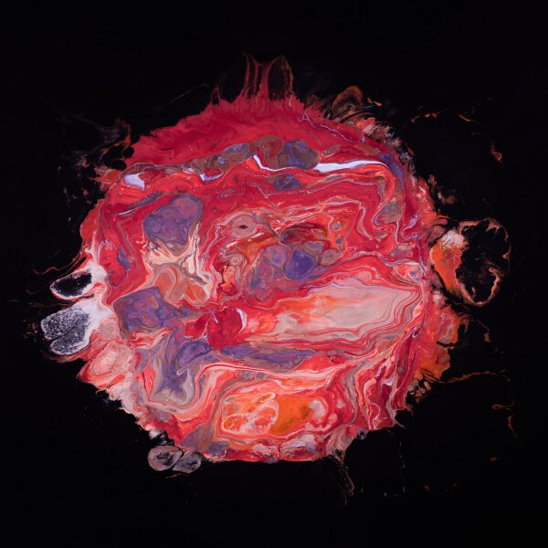 Artwork named King, an acrylic on canvas painting